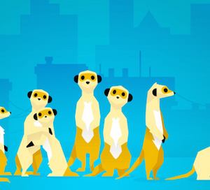 Hurikat, ou l’histoire d’un lancement chahuté par Meerkat et Google – Maddyness